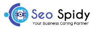 SEOSpidy - SEO & Digital Marketing Company in Delhi NCR