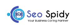 seospidy website designers